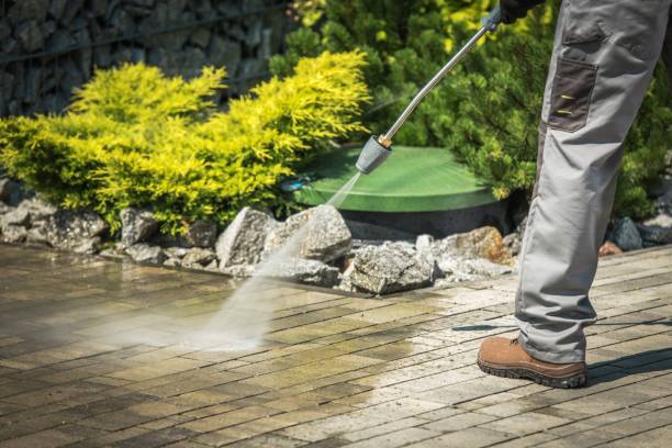 Best Pre-Holiday Cleaning  in Passaic, NJ