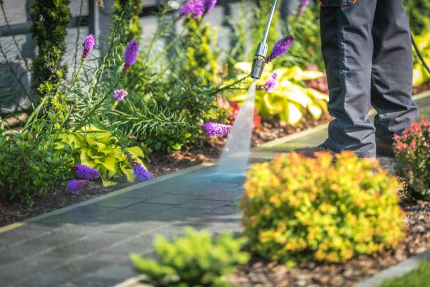 Best Sidewalk and Walkway Cleaning  in Passaic, NJ